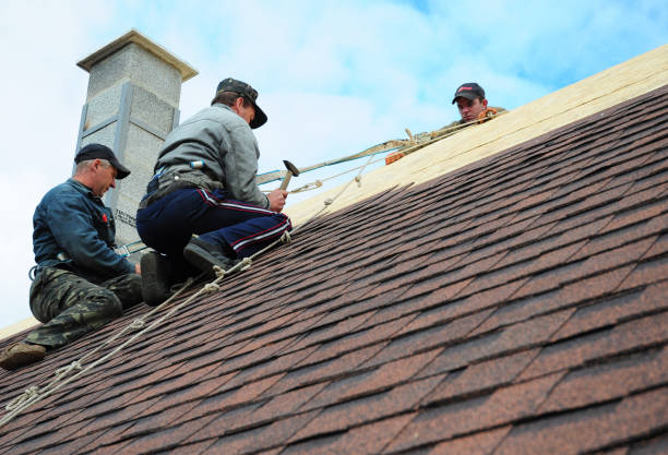 Best Metal Roofing Contractor  in Neenah, WI